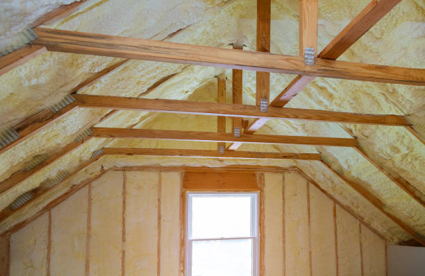 Best Spray Foam Insulation in Sorrento, LA