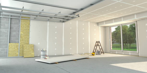 Best Eco-Friendly Insulation in Sorrento, LA