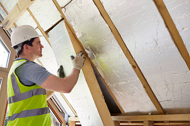 Best Geographic-Specific Insulation Services in Sorrento, LA