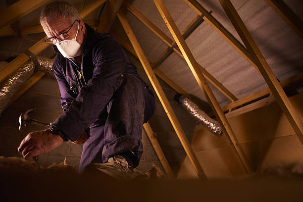 Best Energy Efficiency Insulation in Sorrento, LA